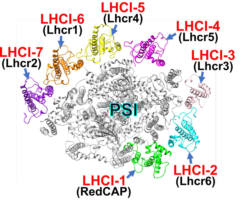 文章を入れてください
