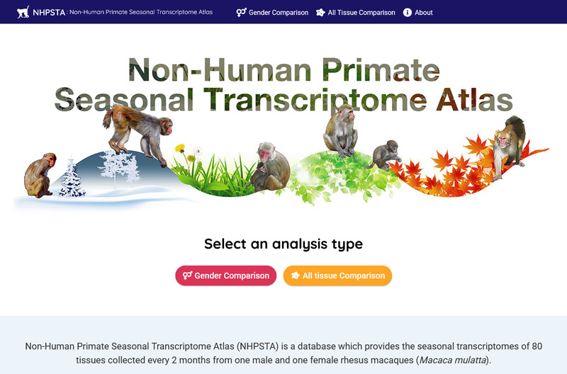 文章を入れてください