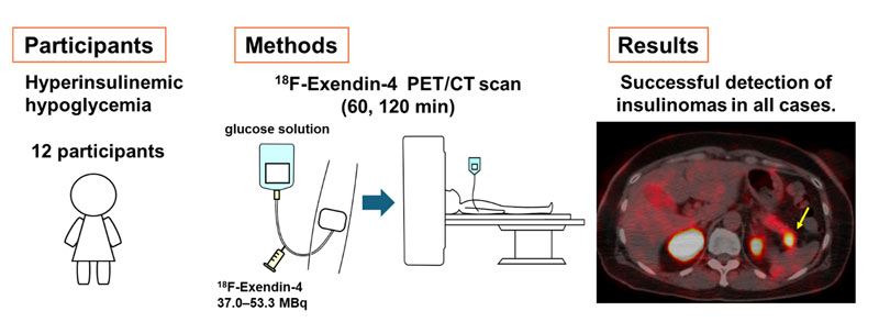 文章を入れてください