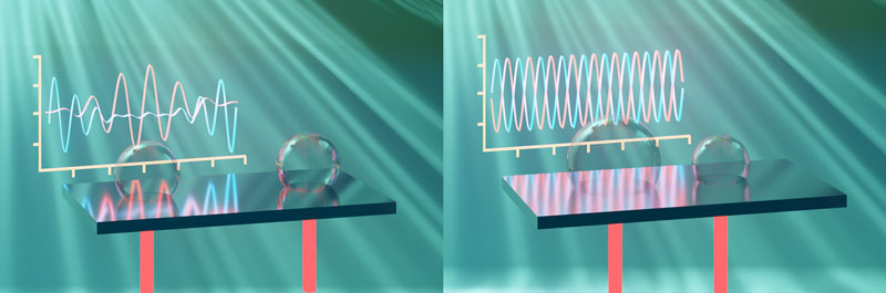 文章を入れてください