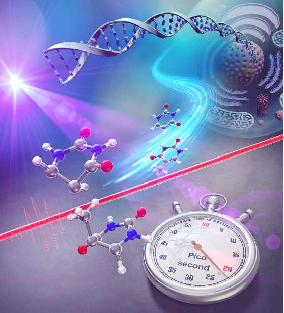 文章を入れてください