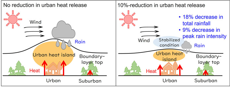 文章を入れてください