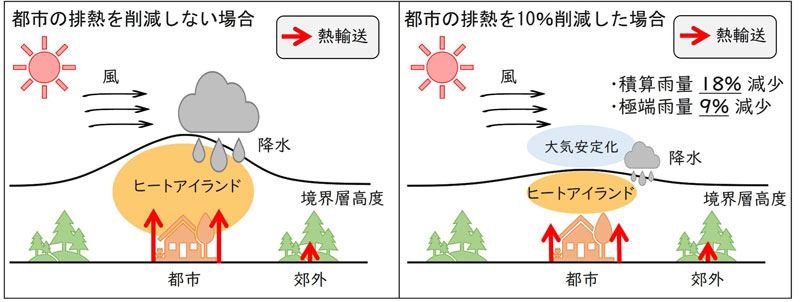 文章を入れてください