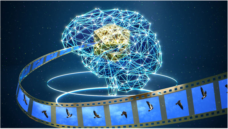 文章を入れてください