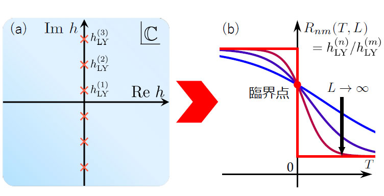 文章を入れてください