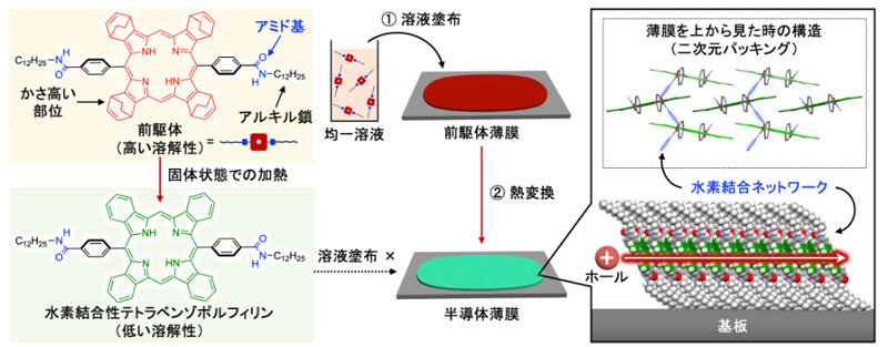 文章を入れてください