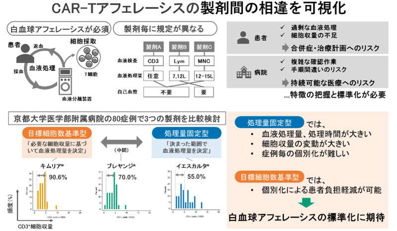 文章を入れてください