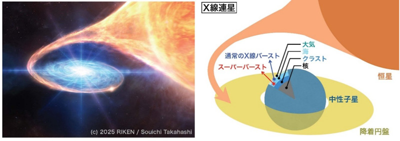 文章を入れてください