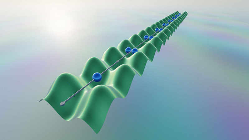 文章を入れてください