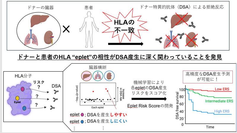 文章を入れてください
