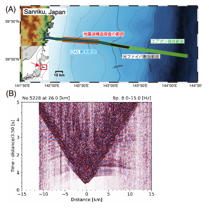 文章を入れてください