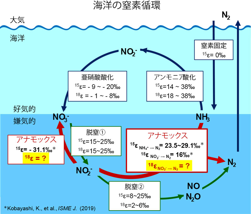文章を入れてください