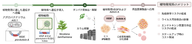 文章を入れてください