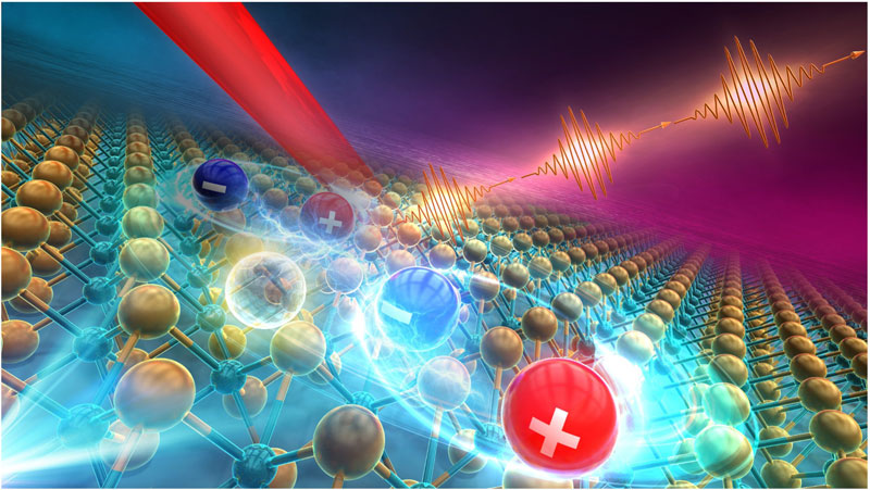 文章を入れてください