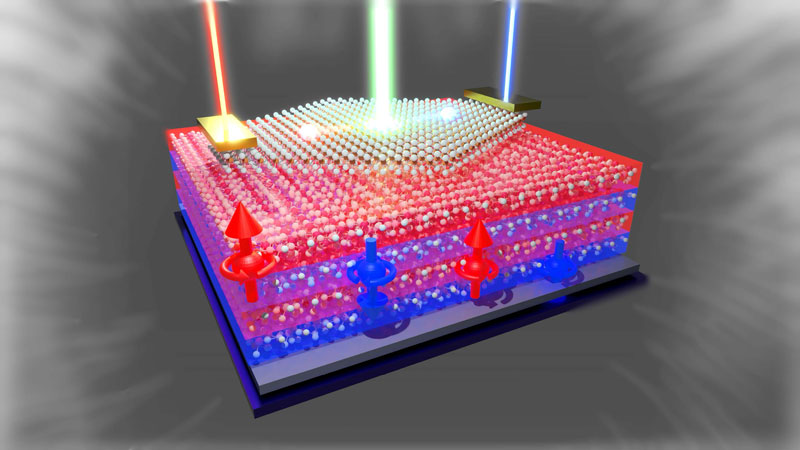 文章を入れてください