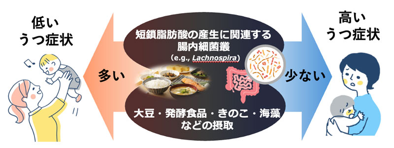 文章を入れてください