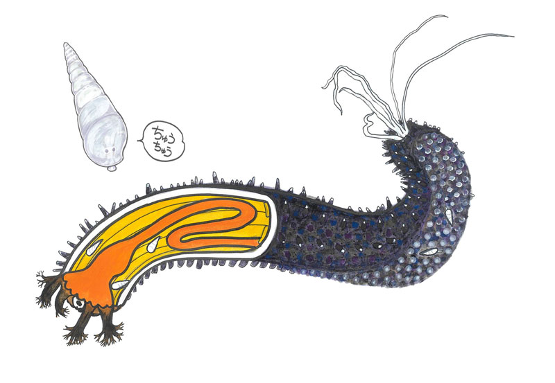 文章を入れてください