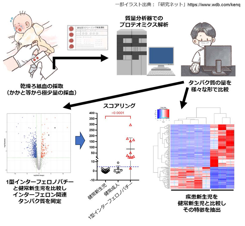 文章を入れてください