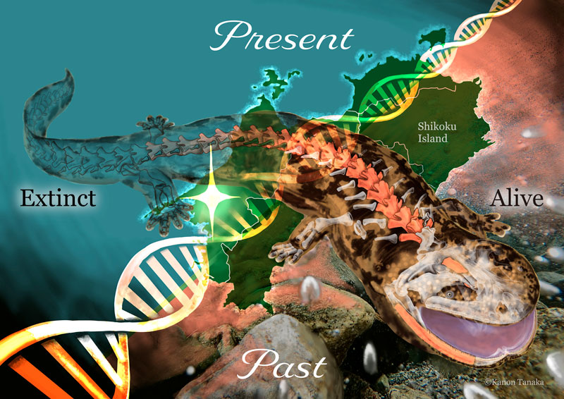 文章を入れてください