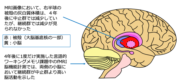 文章を入れてください