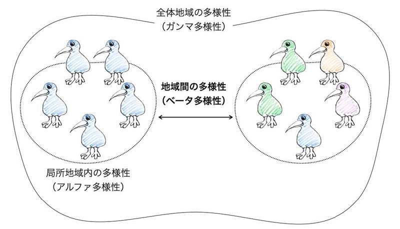 文章を入れてください