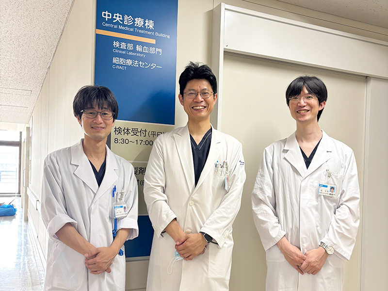 文章を入れてください