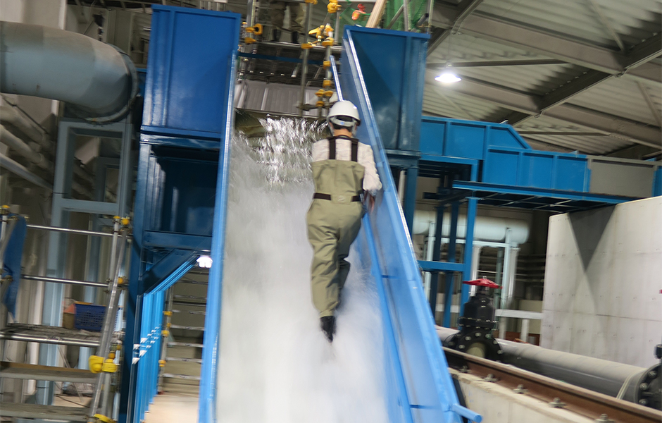 文章を入れてください