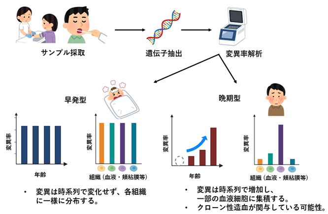 文章を入れてください