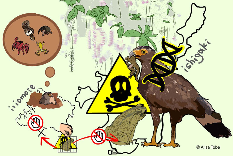 文章を入れてください