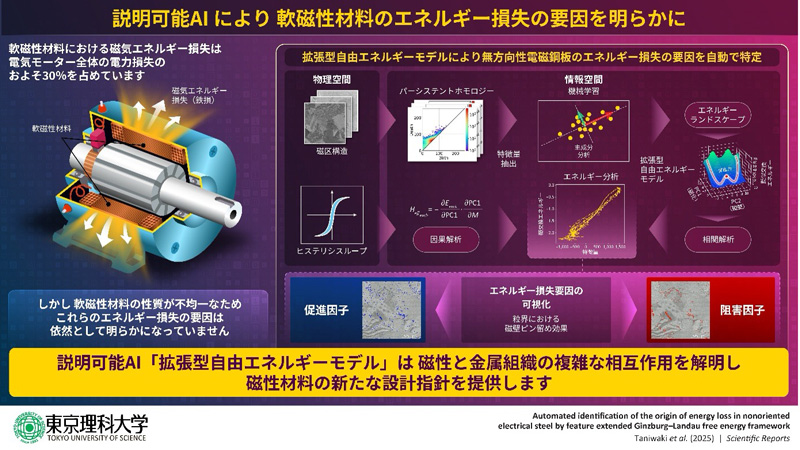 文章を入れてください