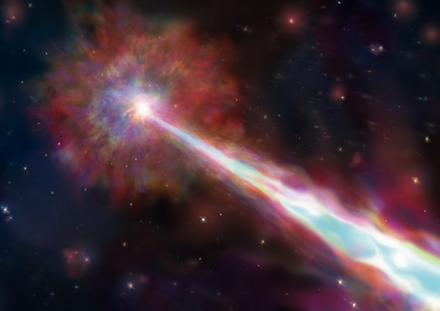 文章を入れてください