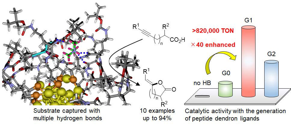 文章を入れてください