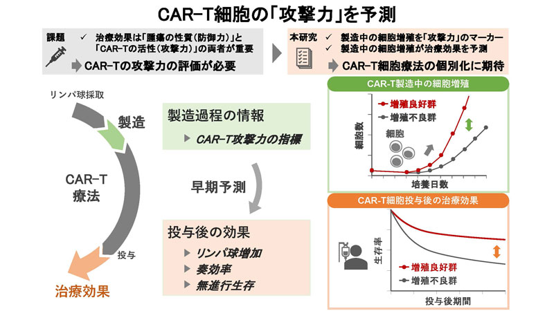 文章を入れてください