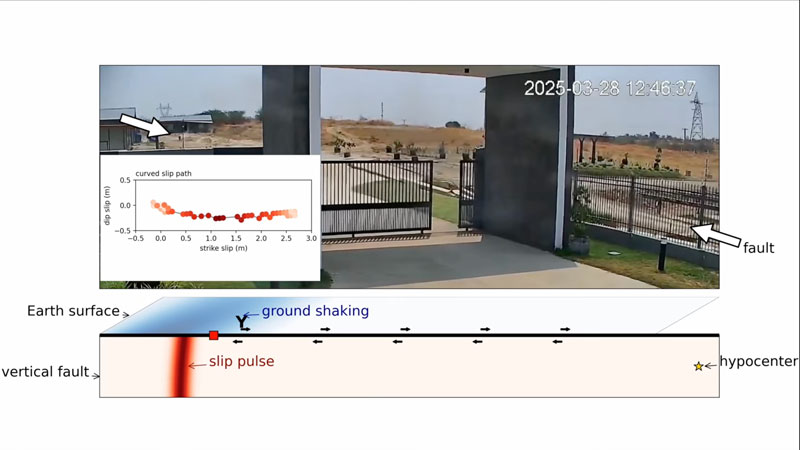 文章を入れてください