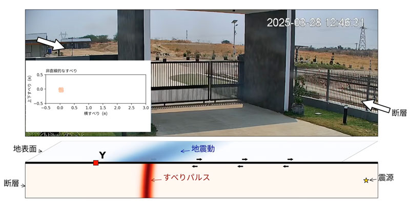 文章を入れてください