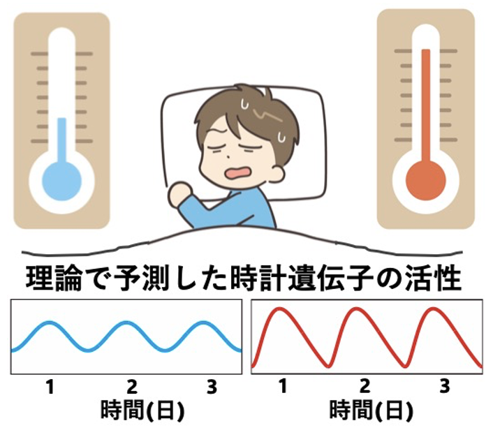 文章を入れてください