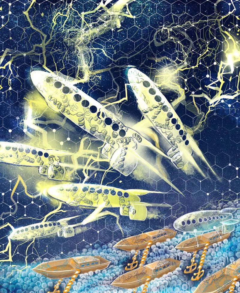 文章を入れてください