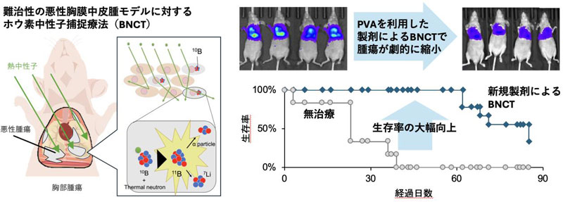 文章を入れてください