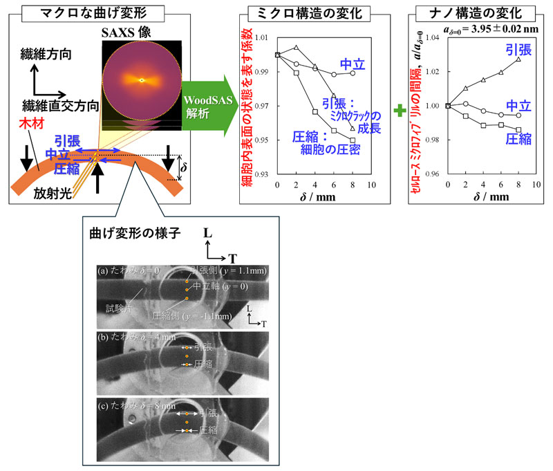 文章を入れてください