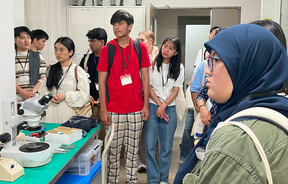 文章を入れてください