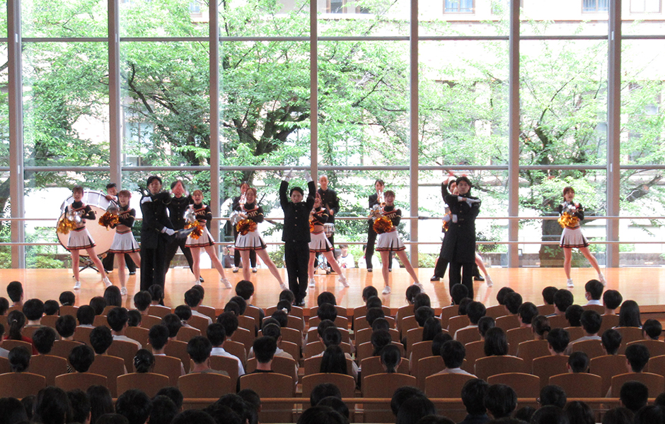 文章を入れてください