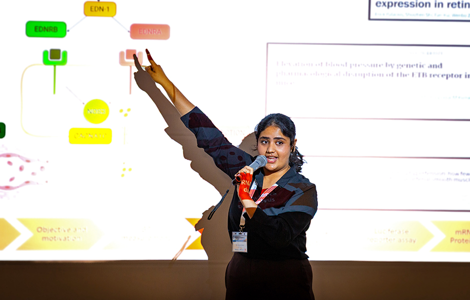 文章を入れてください