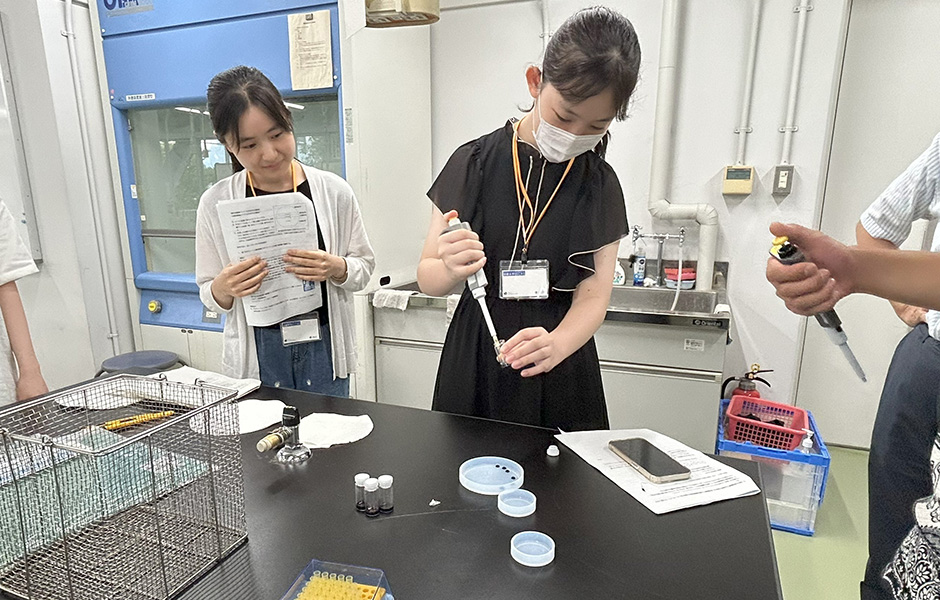 文章を入れてください