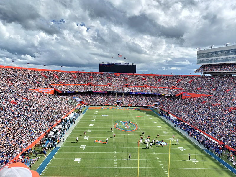 文章を入れてください