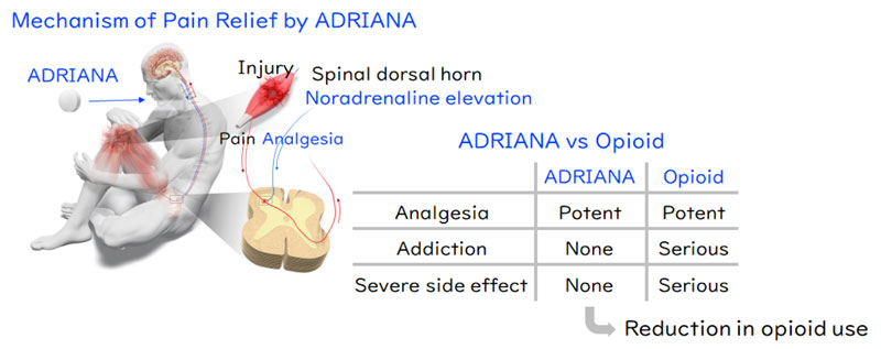 文章を入れてください