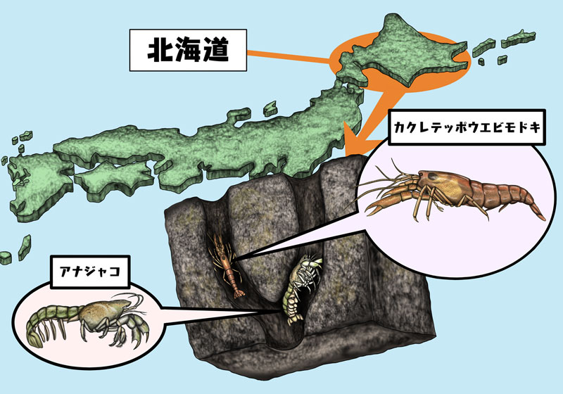 文章を入れてください