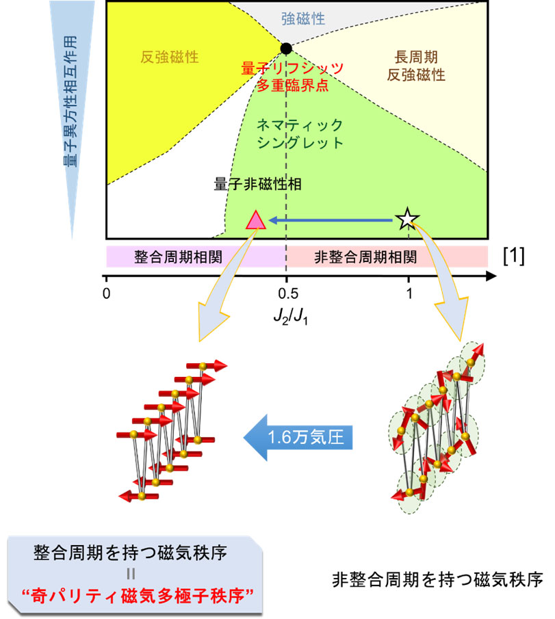 文章を入れてください