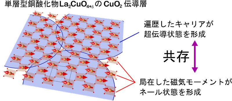 文章を入れてください