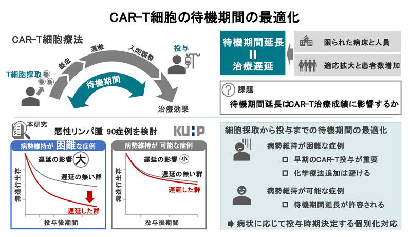 文章を入れてください
