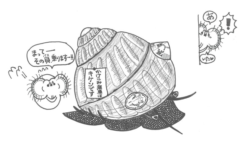 文章を入れてください